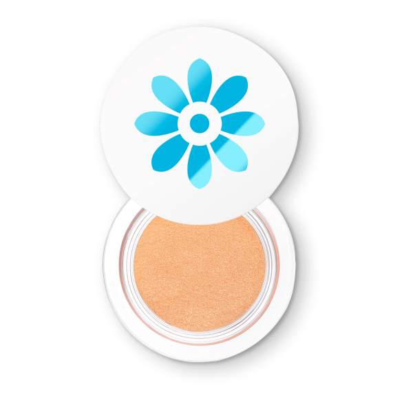 Skin Perfecting Highlighter